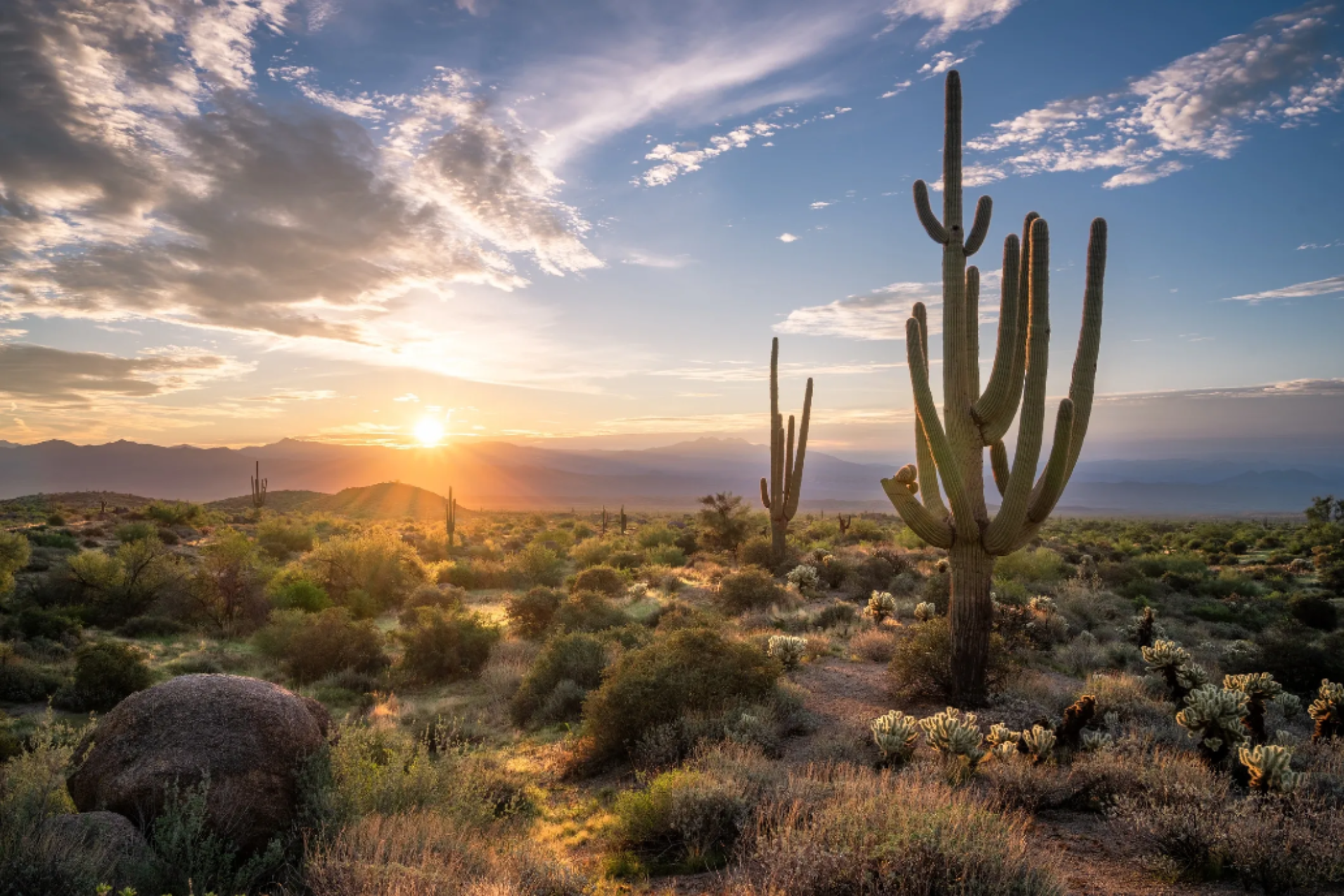 Cactus State Plumbing — professional plumber with tools